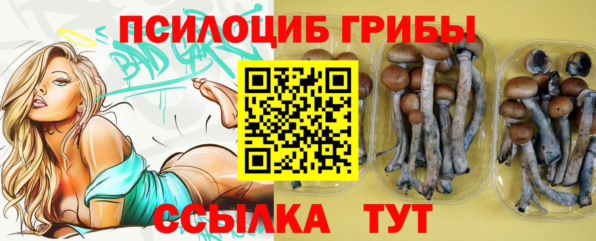 Псилоцибиновые грибы мицелий  цена   Торжок  Вход с VPN 